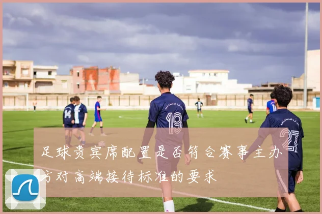 足球贵宾席配置是否符合赛事主办方对高端接待标准的要求